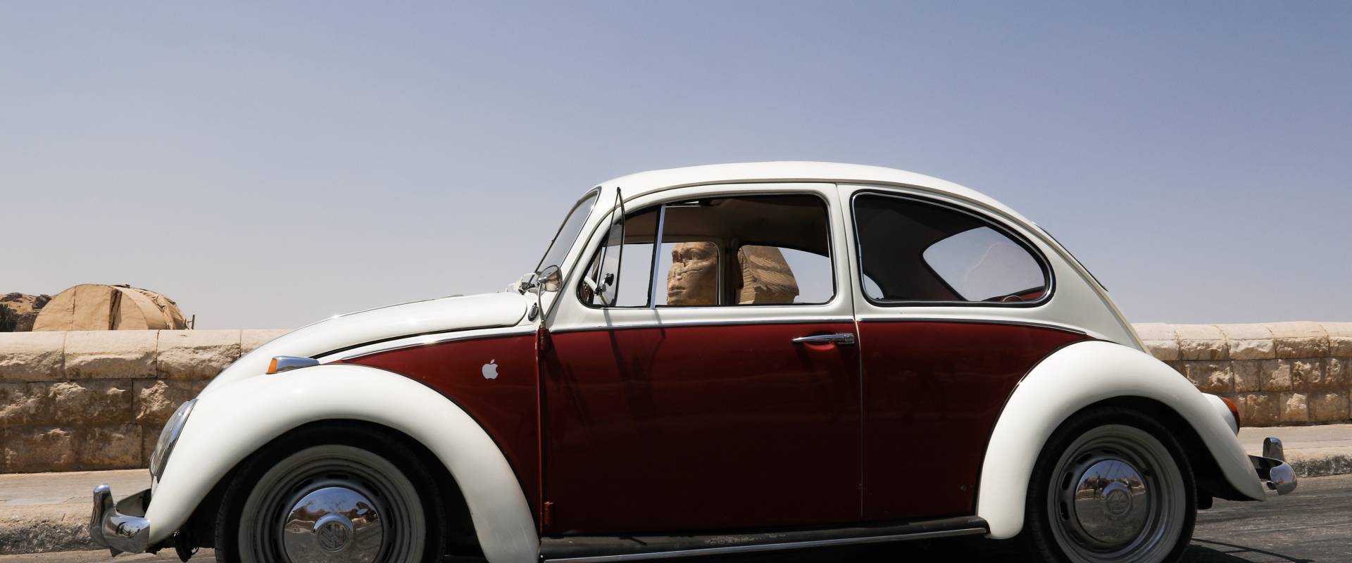 zenithTALK Cairo